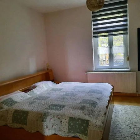 Apartment Ferienwohnung Emilia Gernrode (Saxony-Anhalt)